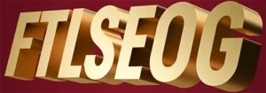 Frank the Local SEO Guy banner image